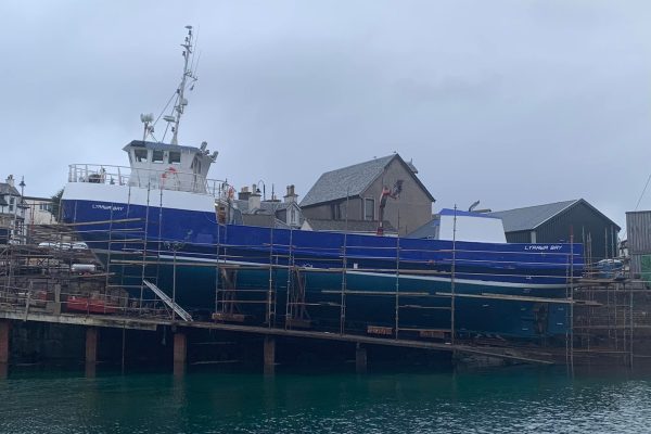 275021336_4895700060510968_5979300949834702085_n 275021336_4895700060510968_5979300949834702085_n