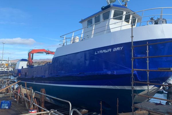 275063398_4895699910510983_2377029663832283926_n 275063398_4895699910510983_2377029663832283926_n