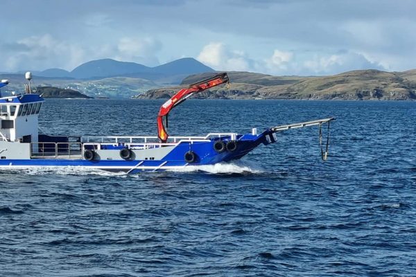 308587635_582944496957277_7929744663525302582_n 308587635_582944496957277_7929744663525302582_n