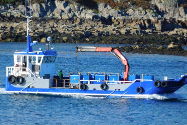 310513223_590184849566575_3274254797514946104_n 310513223_590184849566575_3274254797514946104_n