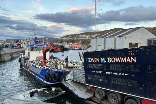 402917896_841841621067562_7333840784076541313_n 402917896_841841621067562_7333840784076541313_n