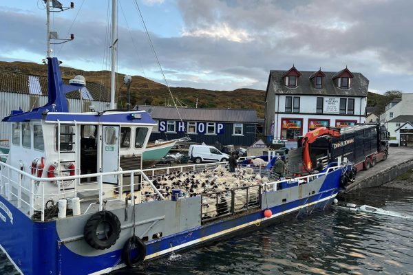 402936893_841841664400891_3321441609726702945_n 402936893_841841664400891_3321441609726702945_n