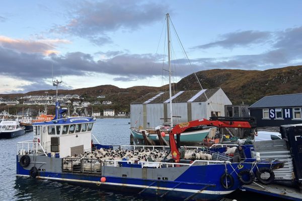 402989943_841841611067563_6709484709467444725_n 402989943_841841611067563_6709484709467444725_n